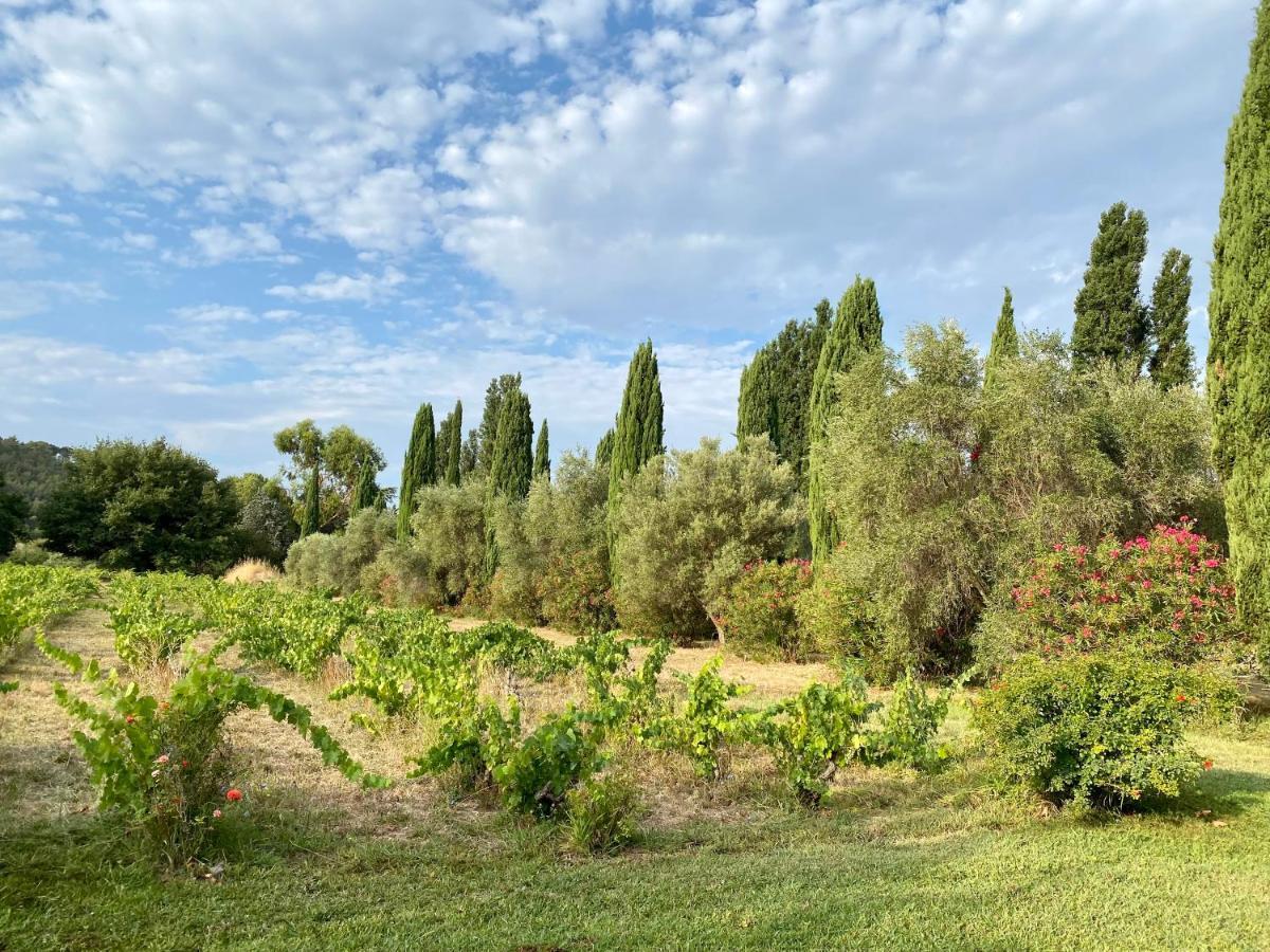 Bastide De Gueissard * Saint-Cyr-sur-Mer
