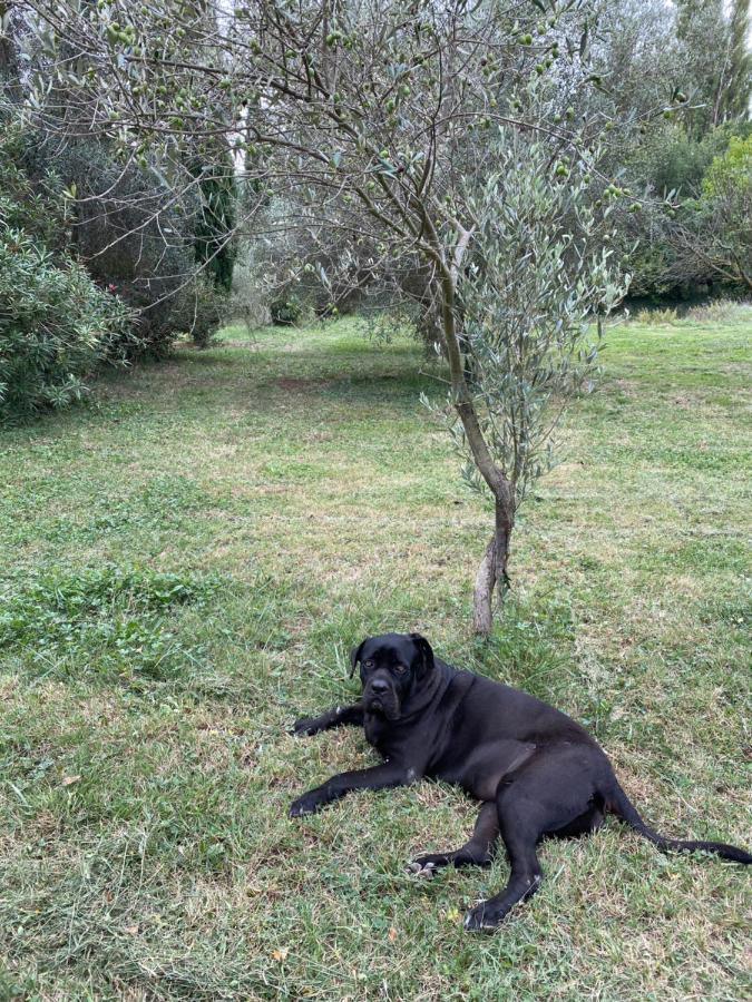 Bastide De Gueissard *